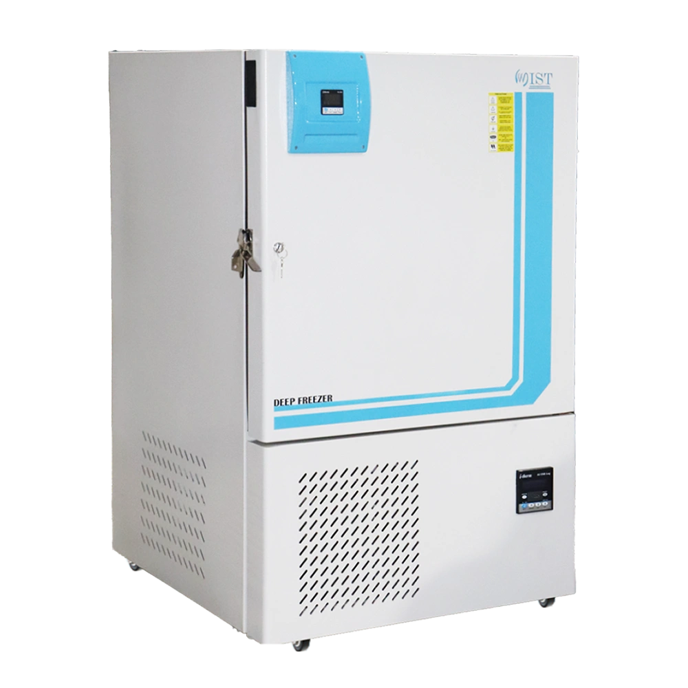 Laboratory deep freezer set to -40°C for preservation of sensitive biological samples
